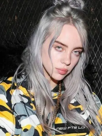 RoughEmber0602의 Billie Elish at a concert
