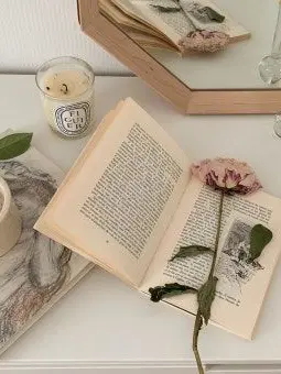 BeigePiu7988의 각경위와 비밀 연애.