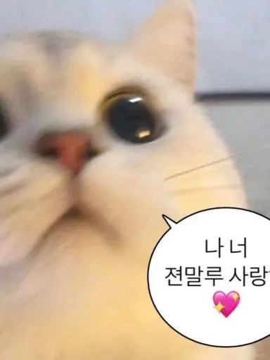 JADAGAM의 아이브에 동생이 되어보자!