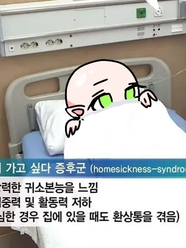 Daemeoriiii의 대머리 사업 성공시키기