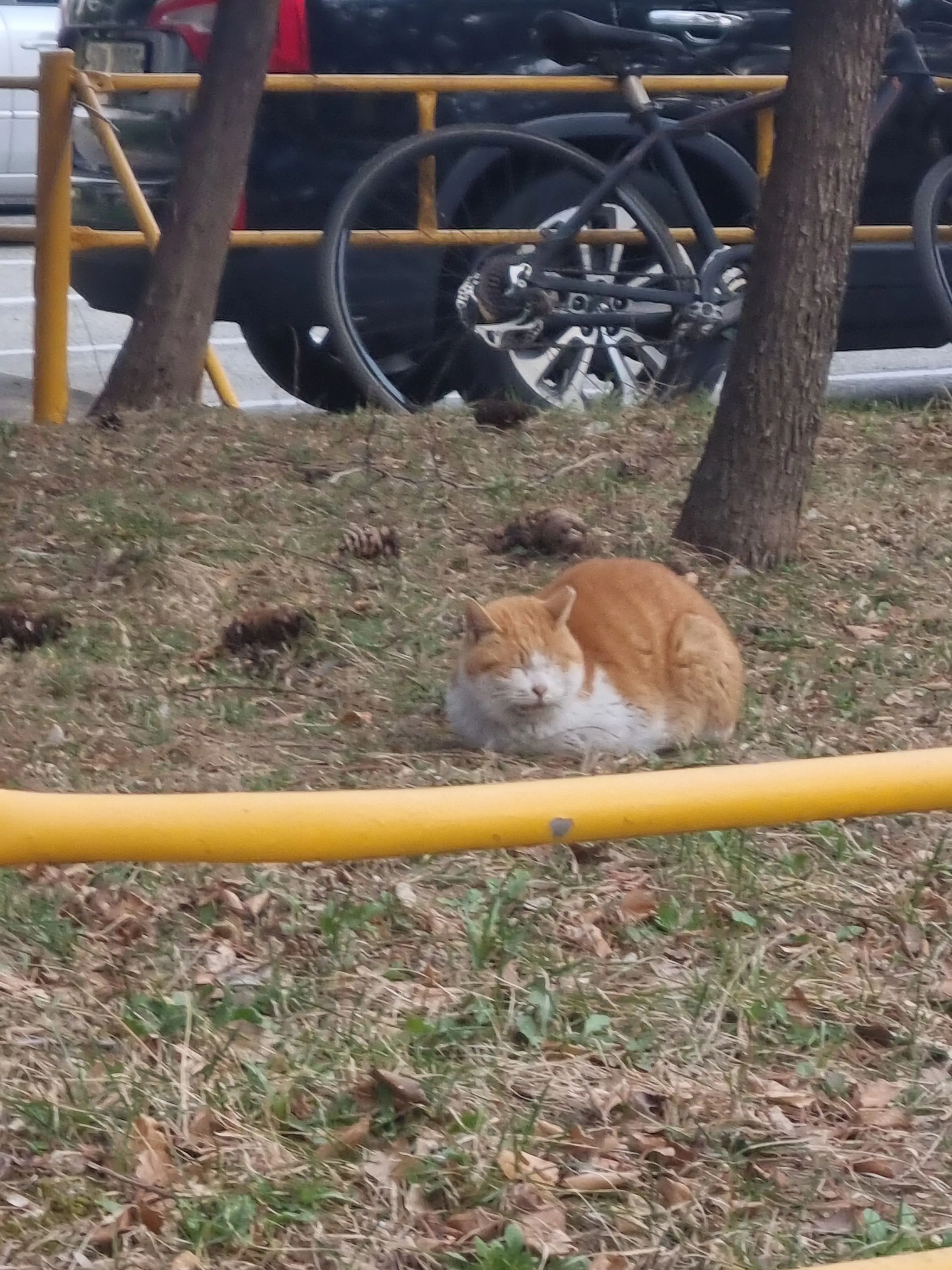 KindMoon2144의 42즈