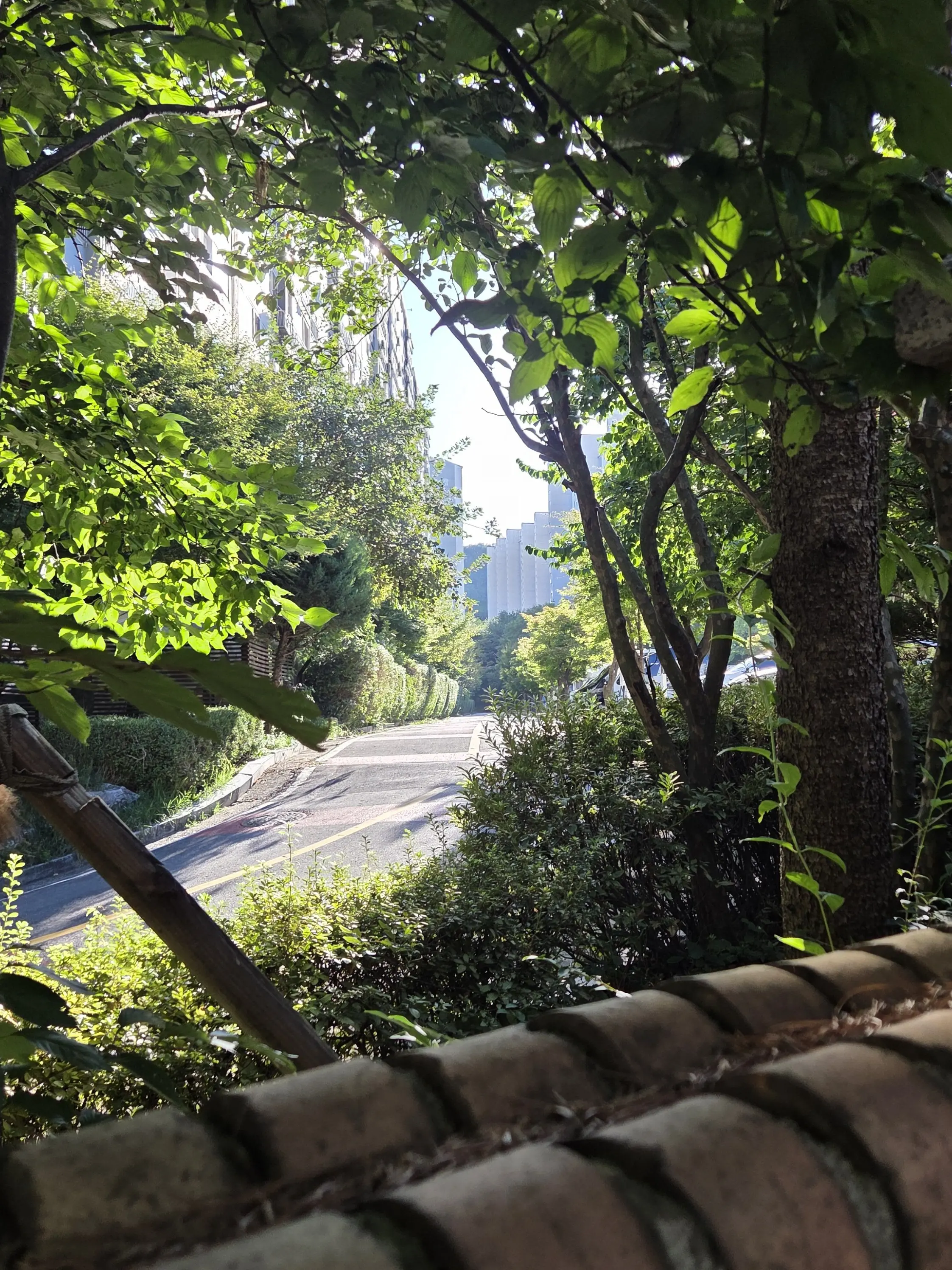 WornToken5313의 버려진 편지