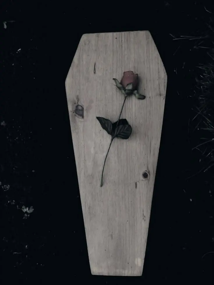 Cookierun_llover의 NecroPhilia