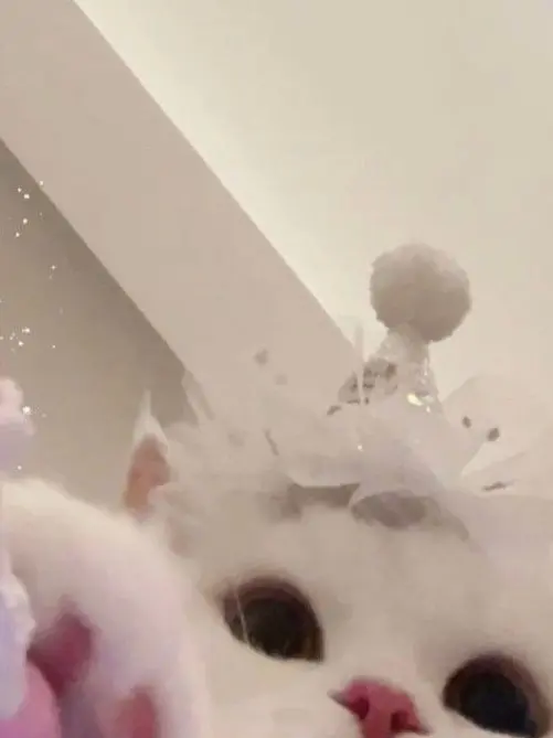 RemoteInk7168의 수학여행 와서 여우랑 싸운 썰 푼다.