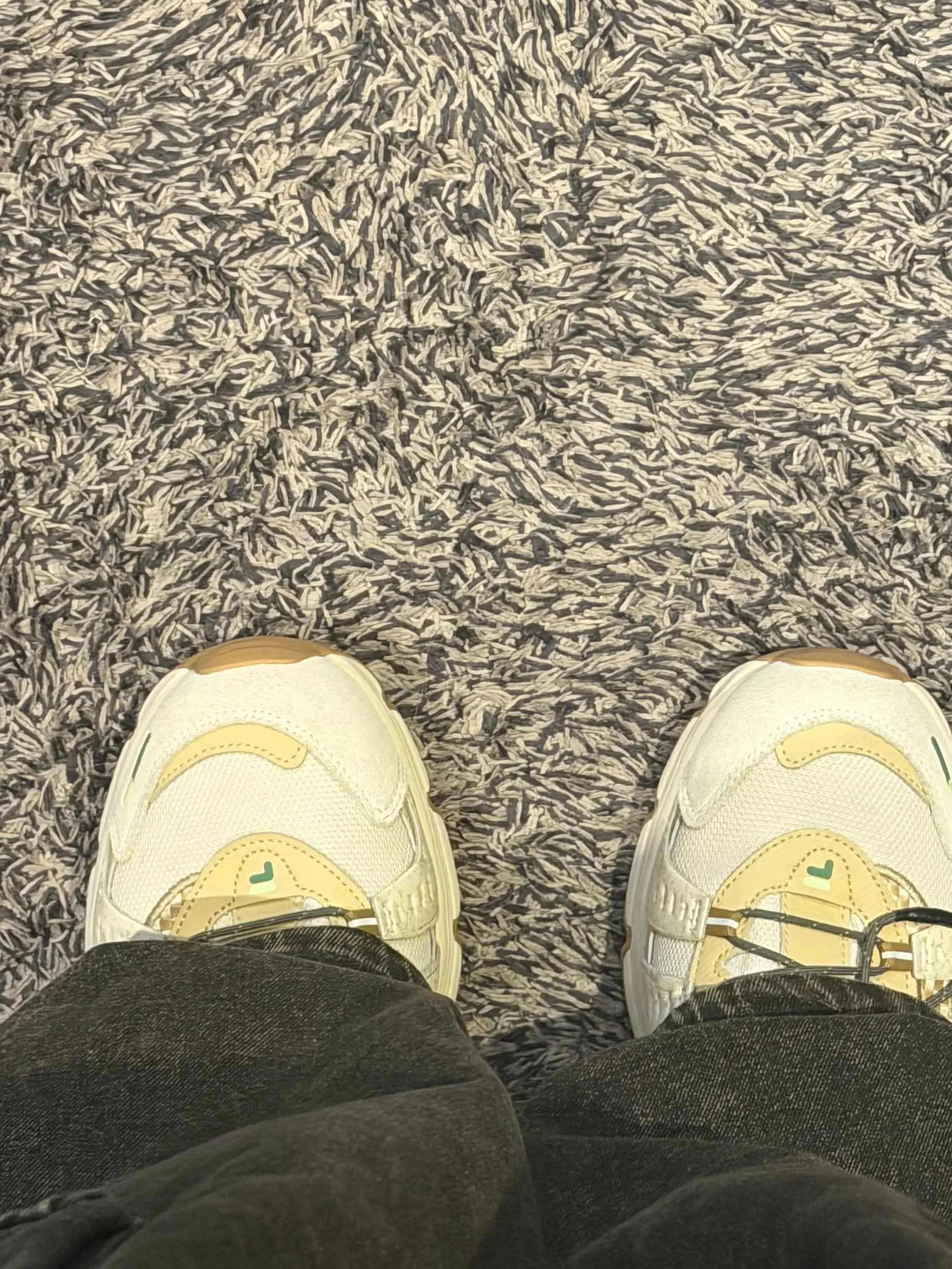 WrySweat6832의 양아치들의 여자친구면 생기는 일