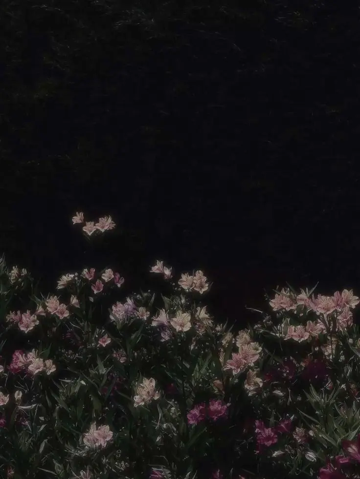 xxx_1의 僞善