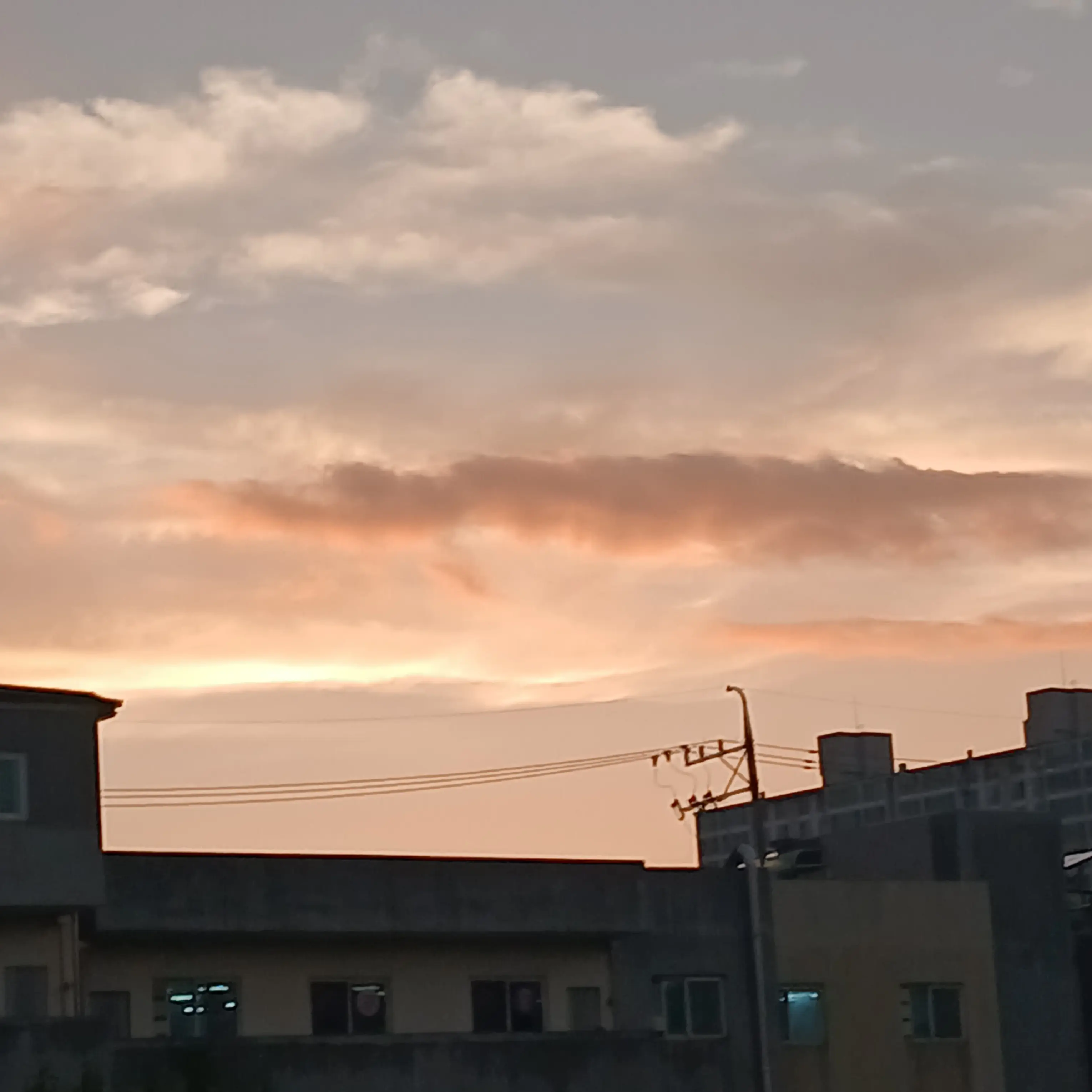 RareFox3981의 T1-고등학교 선생님