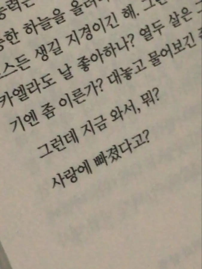 Casey.Zz의 살려줘