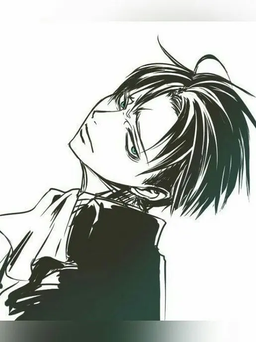 Levi111111의 리바이 아커만