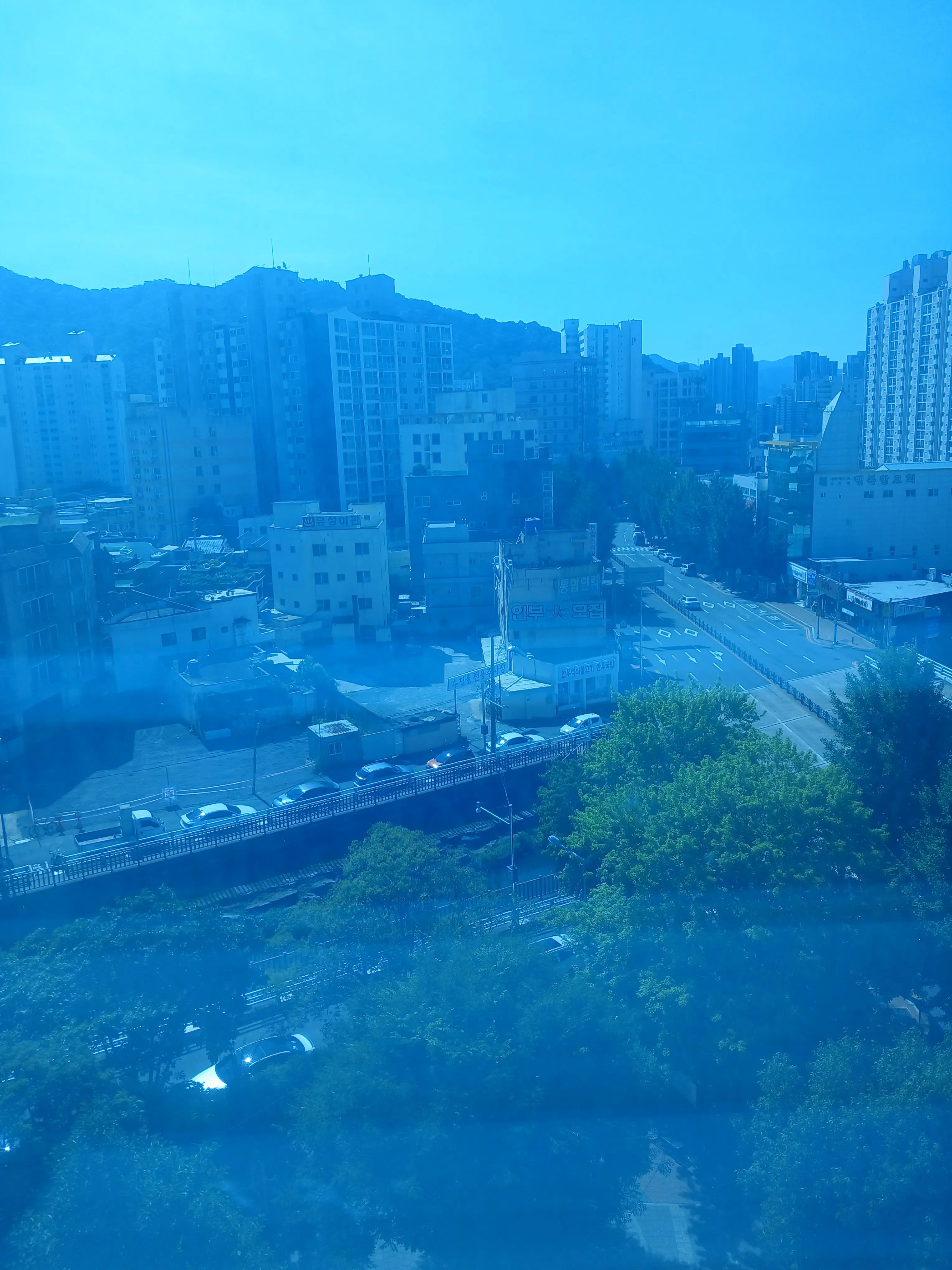 Like_tee의 윈도 사이버 월드