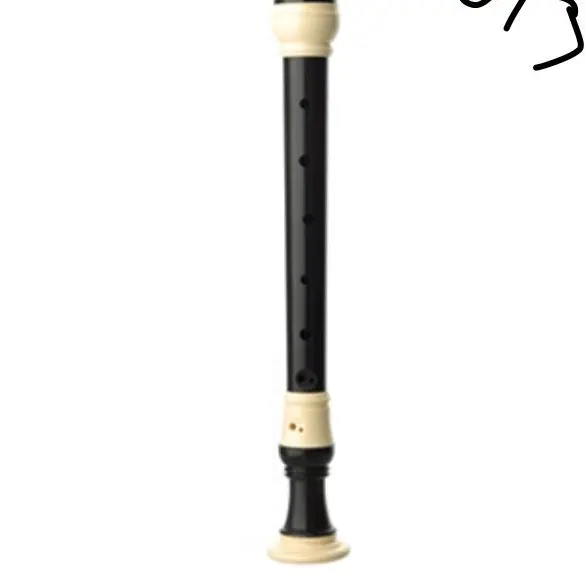 WindyVideo3708의 리코더 마스터(전공자)로 살아남기