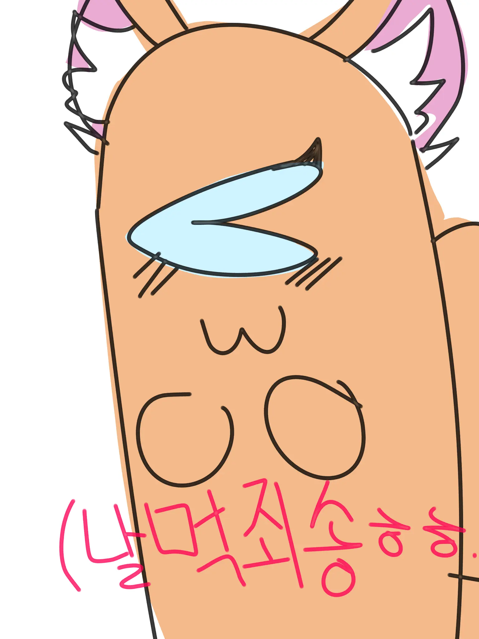SilverCoast8642의 RODAMRIX인데 여우가 있다?