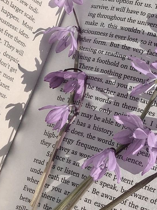 purple 대표 이미지