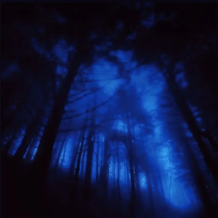 tori_llpk1의 拾ったら責任取らないと。