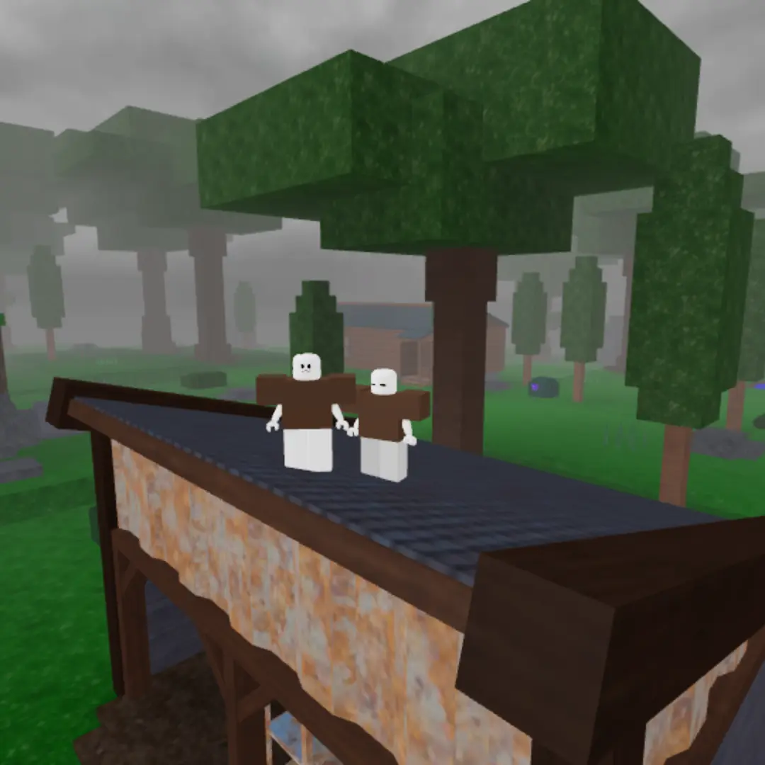 RoughCap4864의 학교