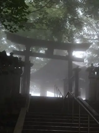 paradise_0000의 苦痛