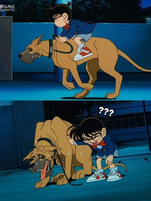 경찰동기조 대표 이미지