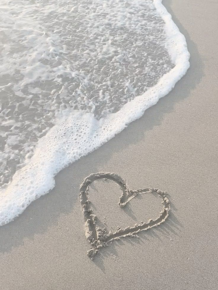 사랑의 언어_Love Language 대표 이미지