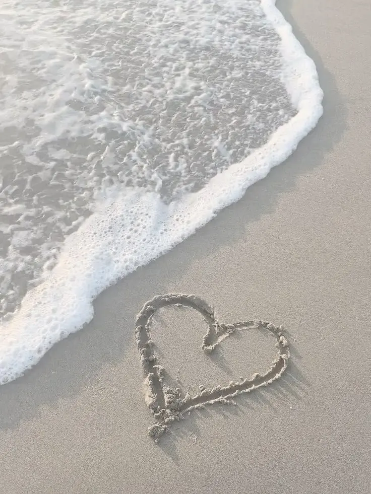L_el.pr의 사랑의 언어_Love Language