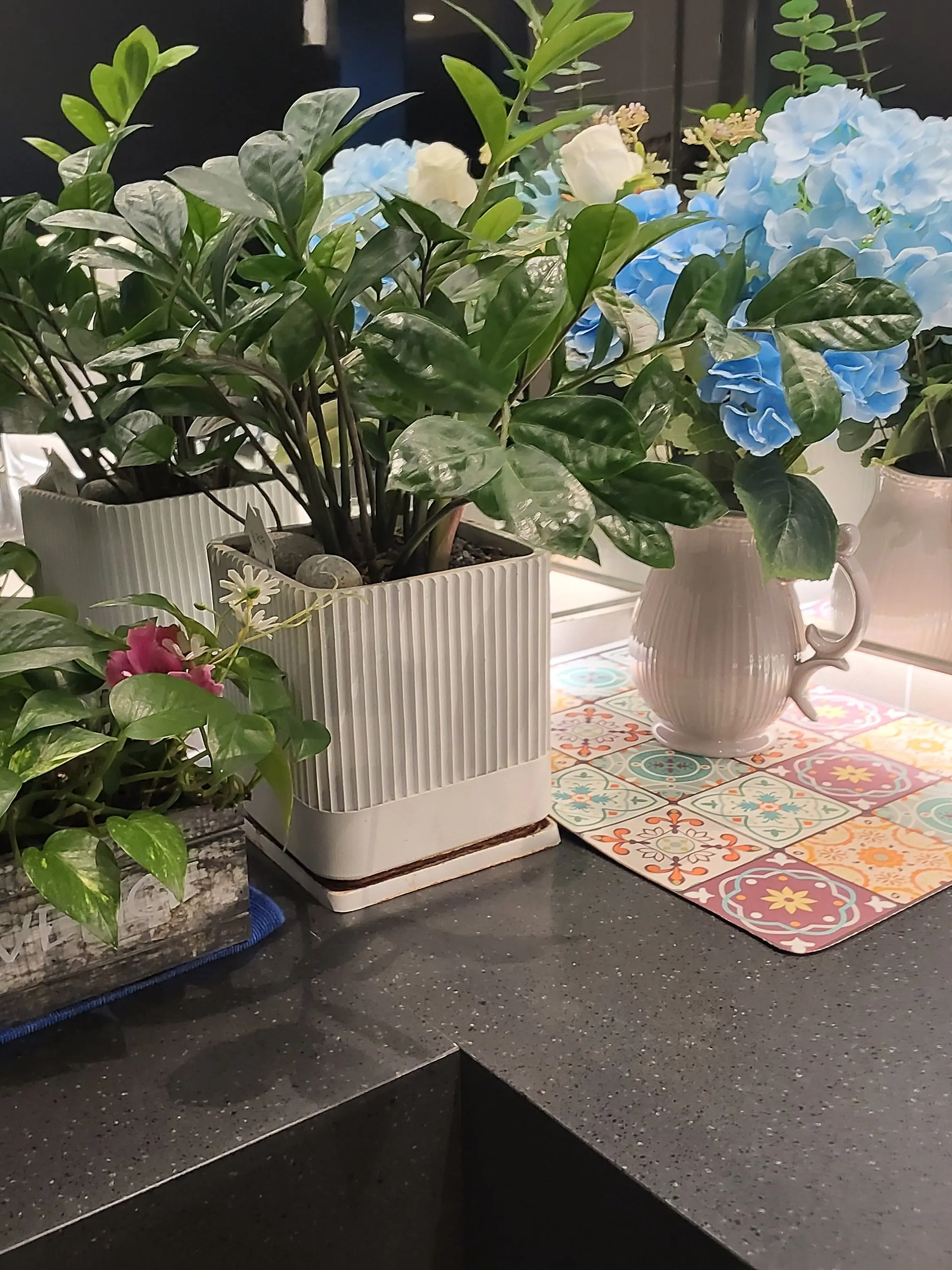 ModestFlame2976의 하이큐!! (헌터물+사쿠사)