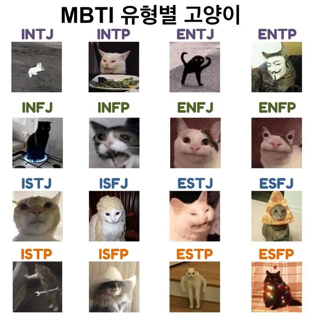 UZIN_uzin의 MBTI(동거)