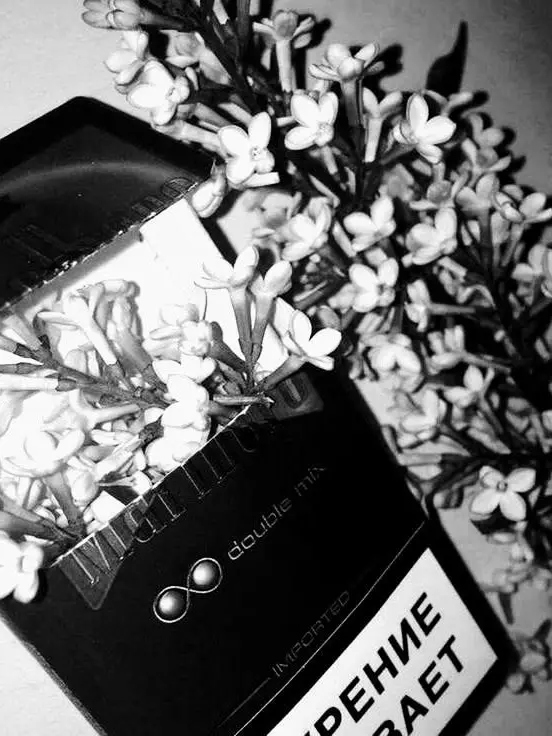L.eg_05의 PrincessDontEverLeaveMe