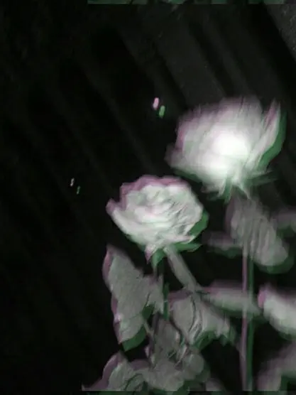 ChewyTrill2860의 相反したイメージ押し付けないで