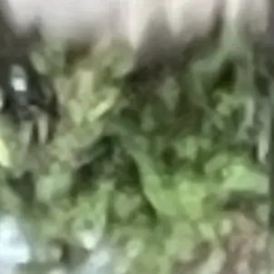 HardMucus0939의 삶이 싫은 부자. 돈이 많은데, 왜?