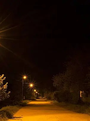 wa_ter의 사건 파일: [조용했던 시신]