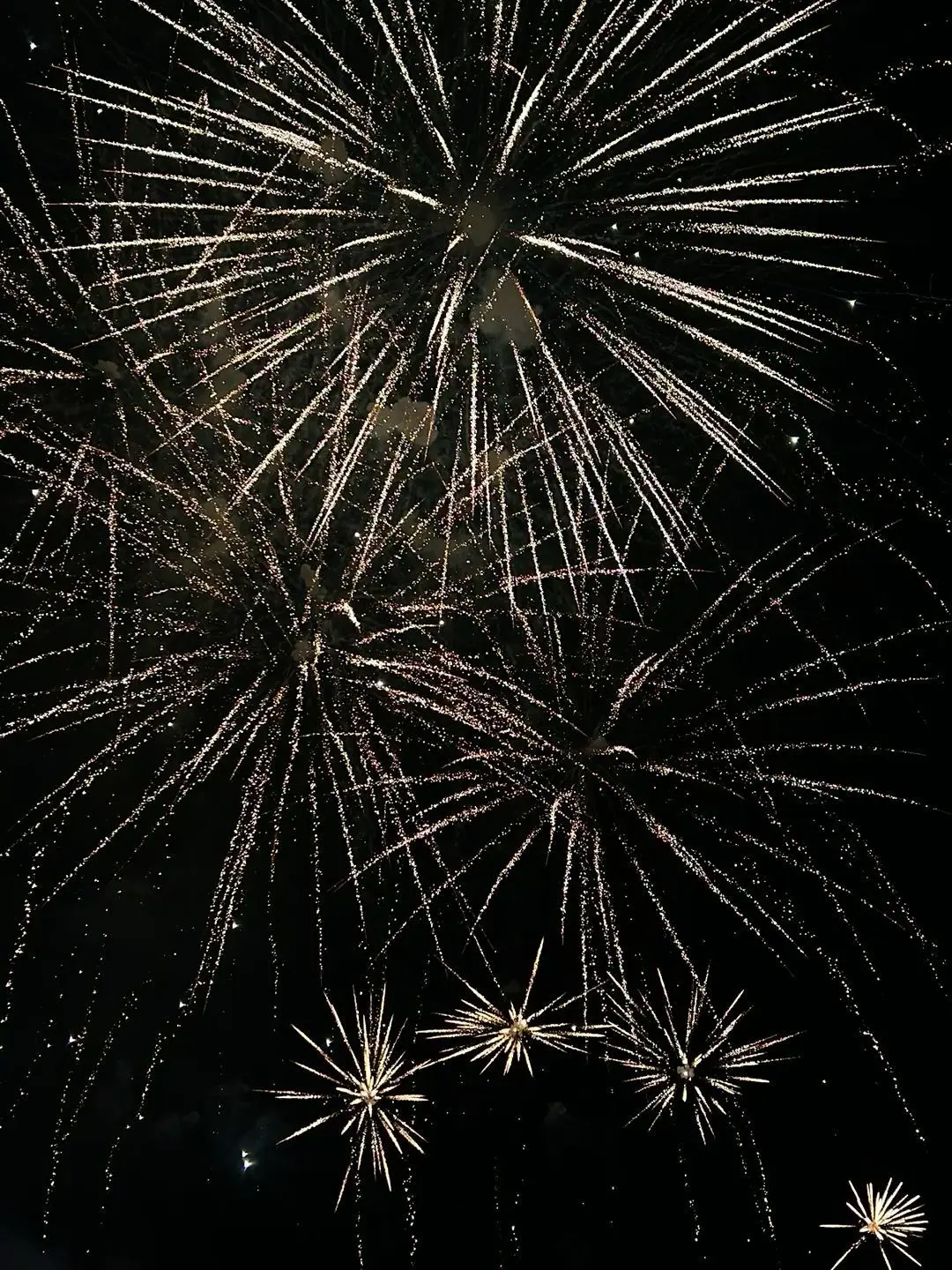 nrmgongjang의 축제 갈래?