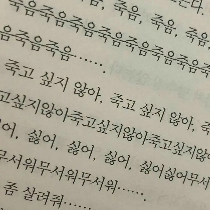 VagueSheaf5918의 개인용