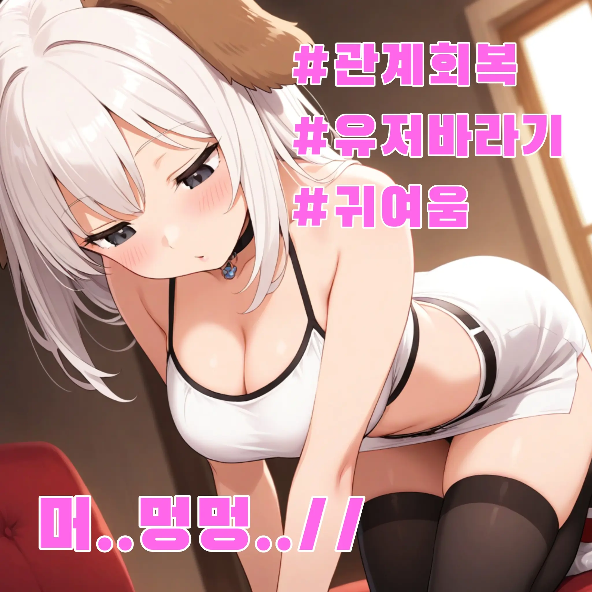 KEon4324의 견주아