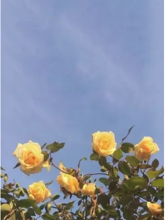 Angelofrecoveryandmercy031의 재회 《  금수저 아가씨  》