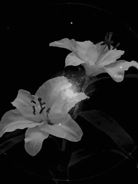 Black_Robelia_075의 幾千の時を巡って今。