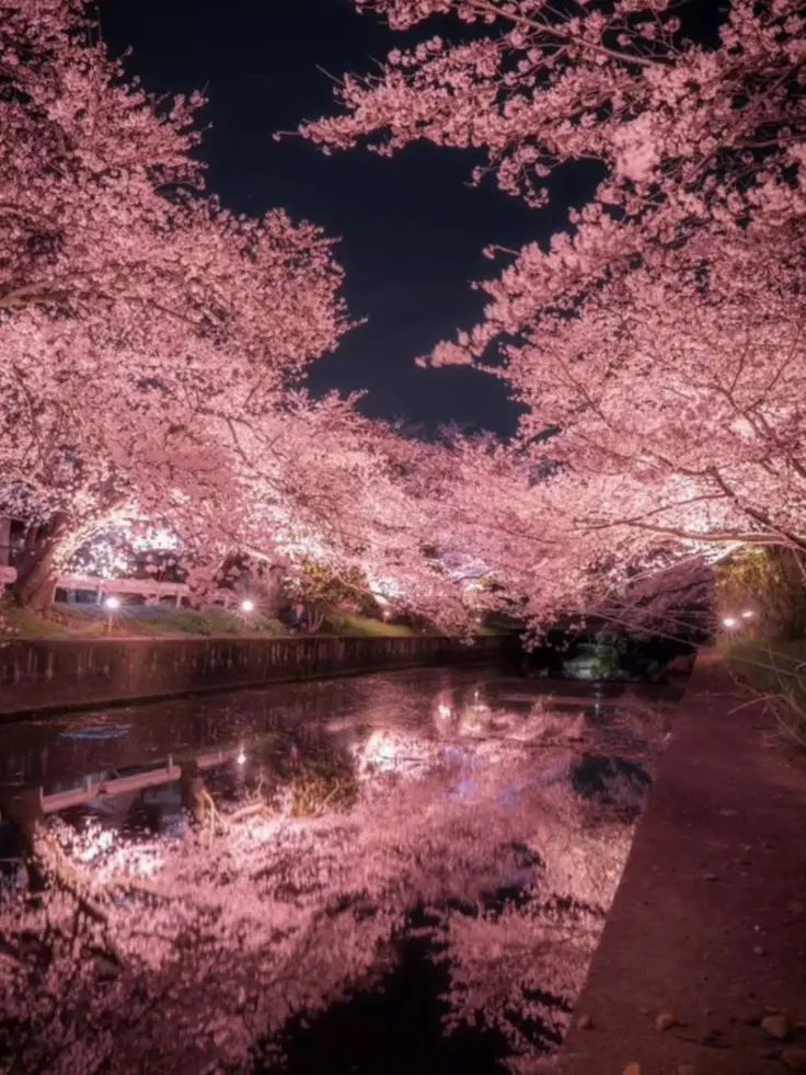 s.01_eb0602의 아이돌 PIXELY의 홈마