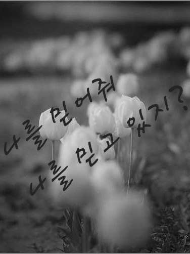 너네는 나 믿지..? 응? 대표 이미지