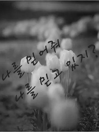 Fytgiyi3w5의 너네는 나 믿지..? 응?