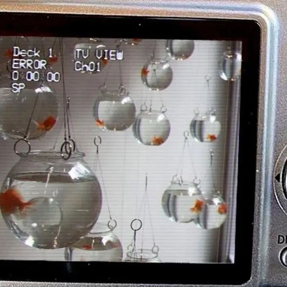 Nox_Oculus의 화양연화(花樣年華)