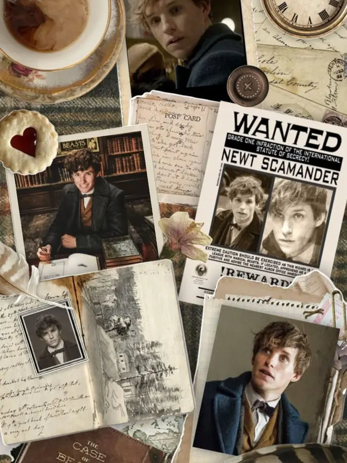 TrashMonkeys121의 Newt Scamander