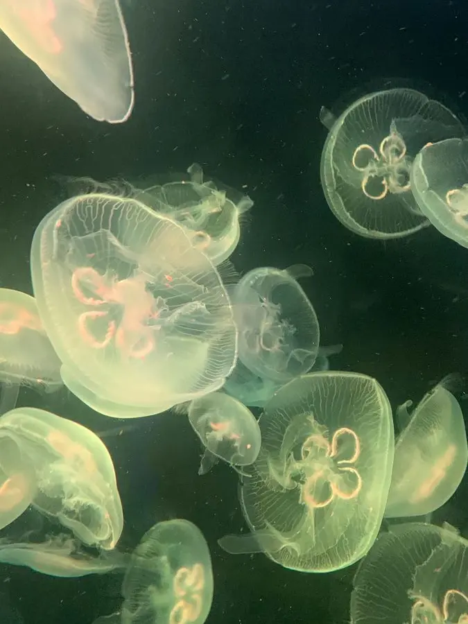 ite_061의 해피엔딩으로 끝날거야,분명히.