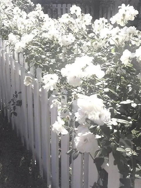 sl._ys25의 stay with me.