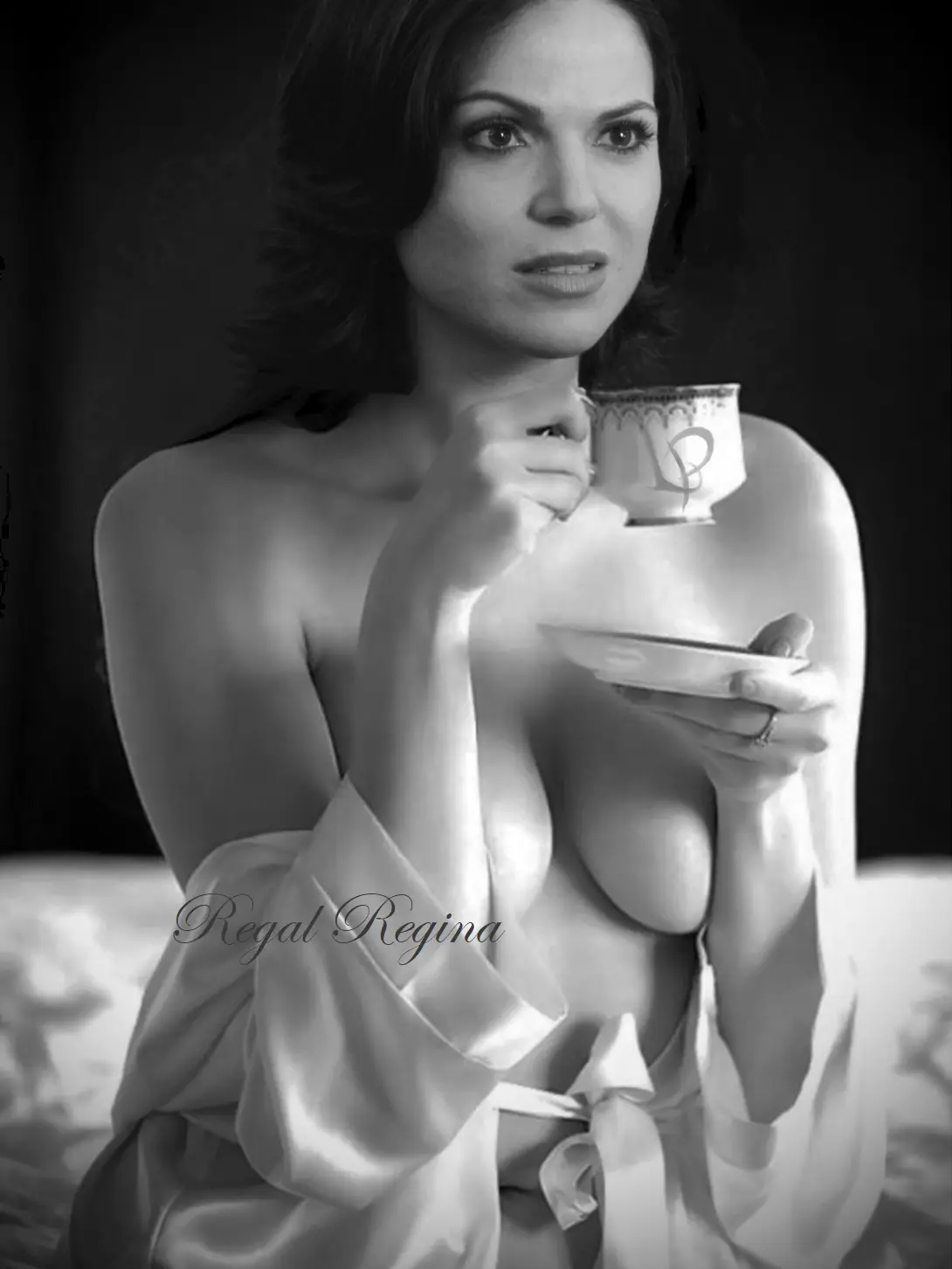 AstutePoem8901의 Regina Mills Heart