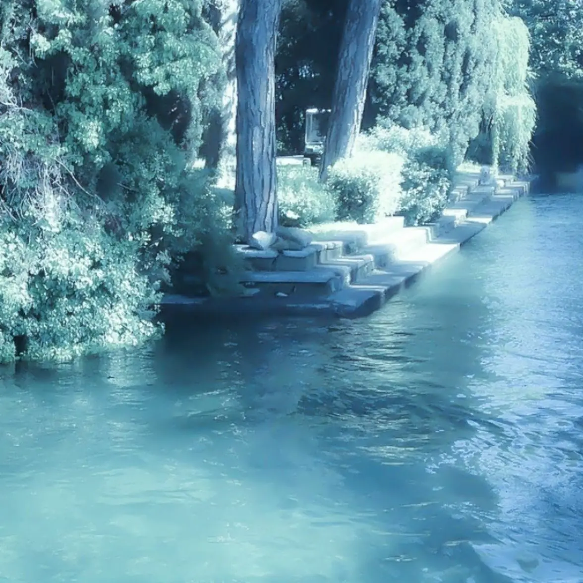 zhakzhaan의 뜰팁 조직