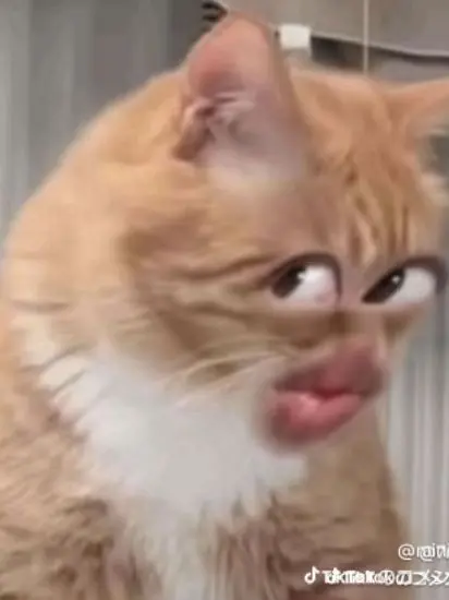 CoralUnau7954의 ケキ君を虐めちゃいましょう！