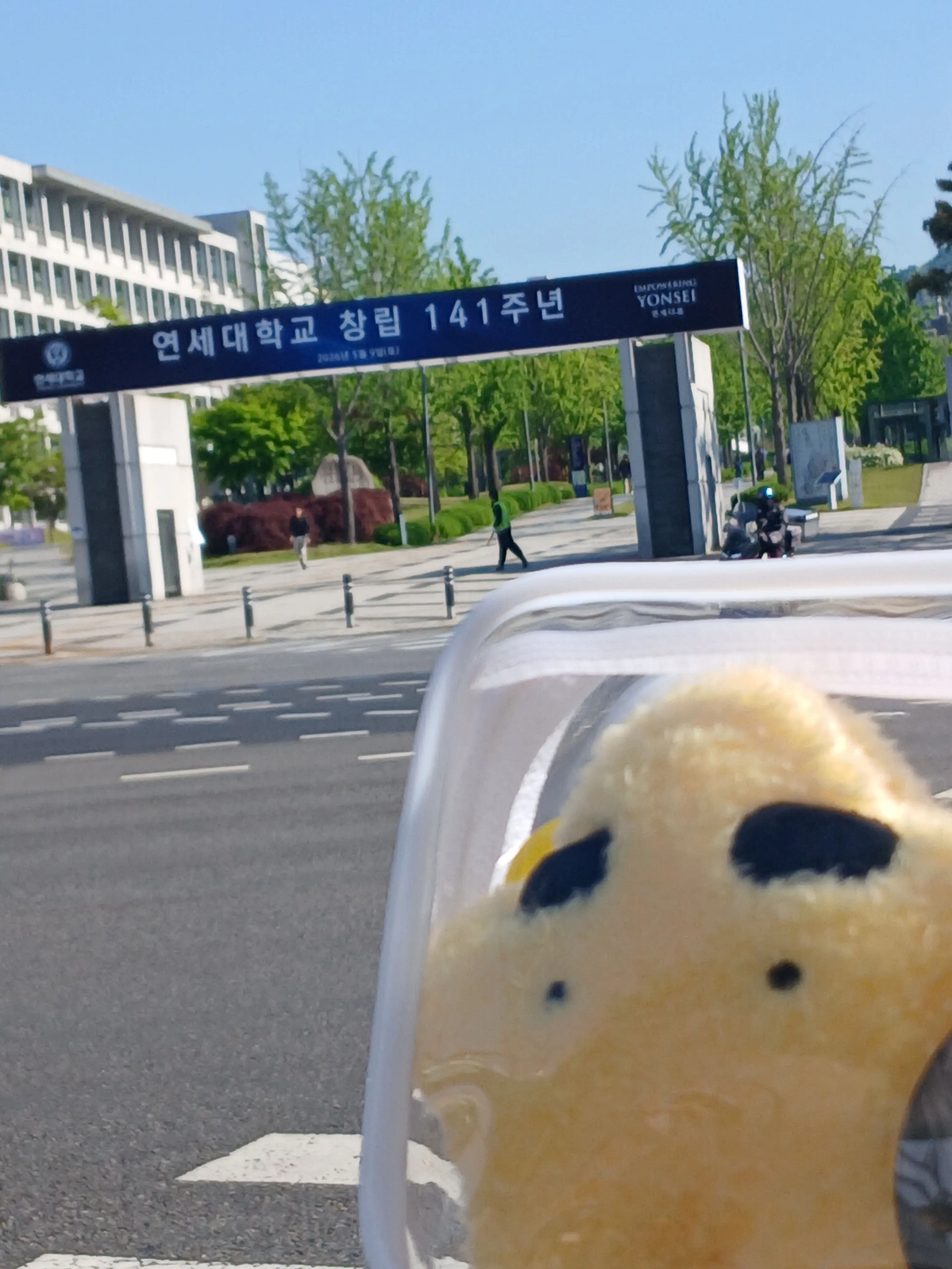 cheese_402i의 쌍둥이랑 우리 차이