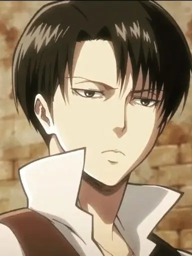 PastBeago8872의 리바이 아커만