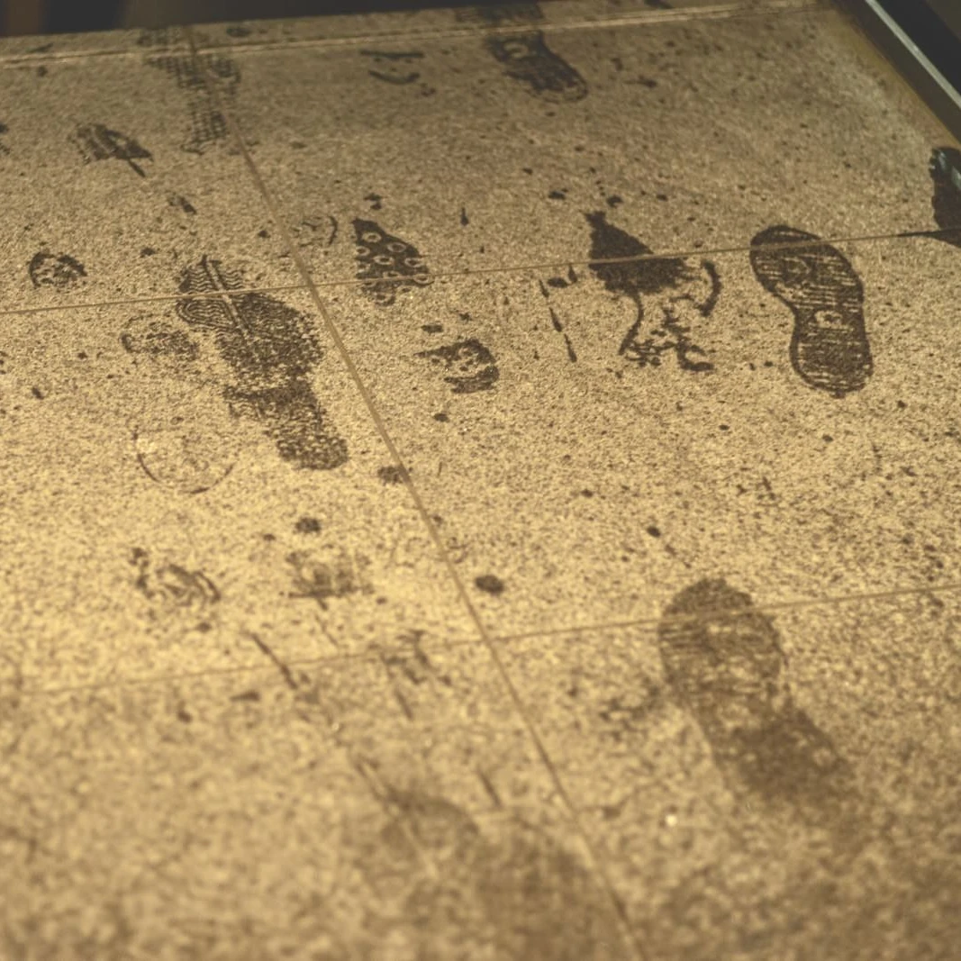 人狼を従える処遇部の刑務官