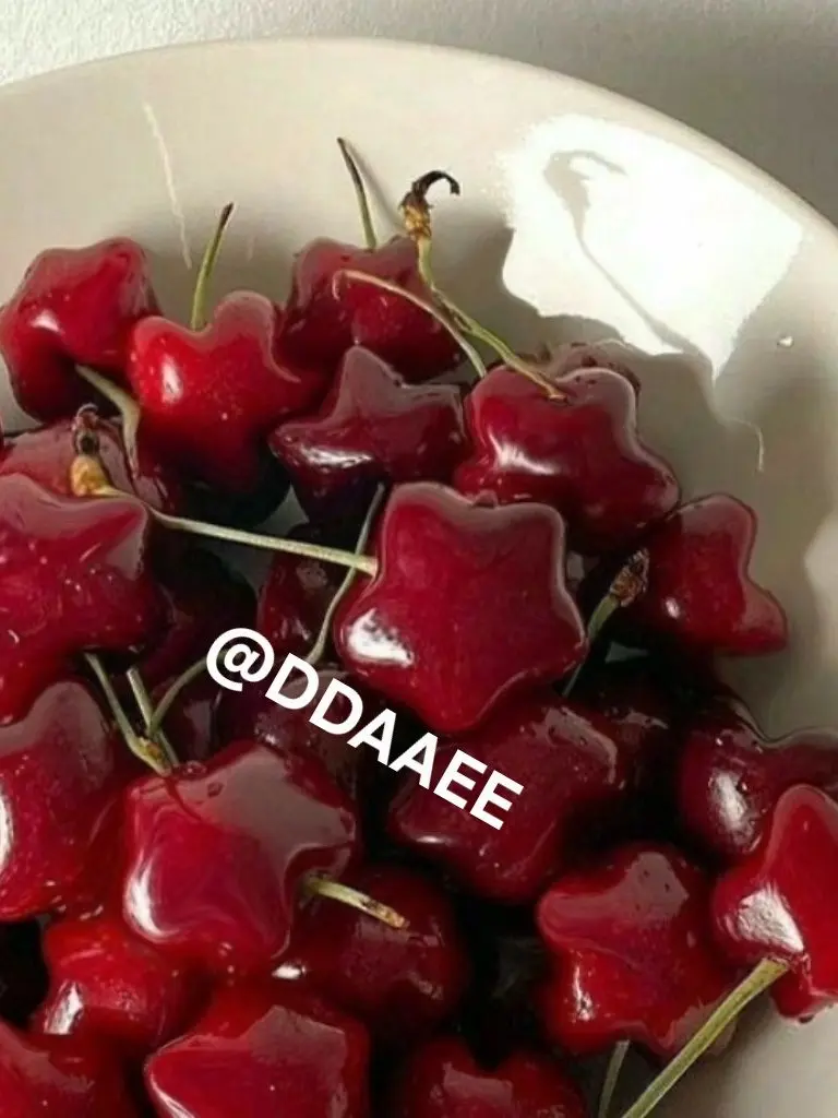 Kimdae0707의 뜰팁의 소원권