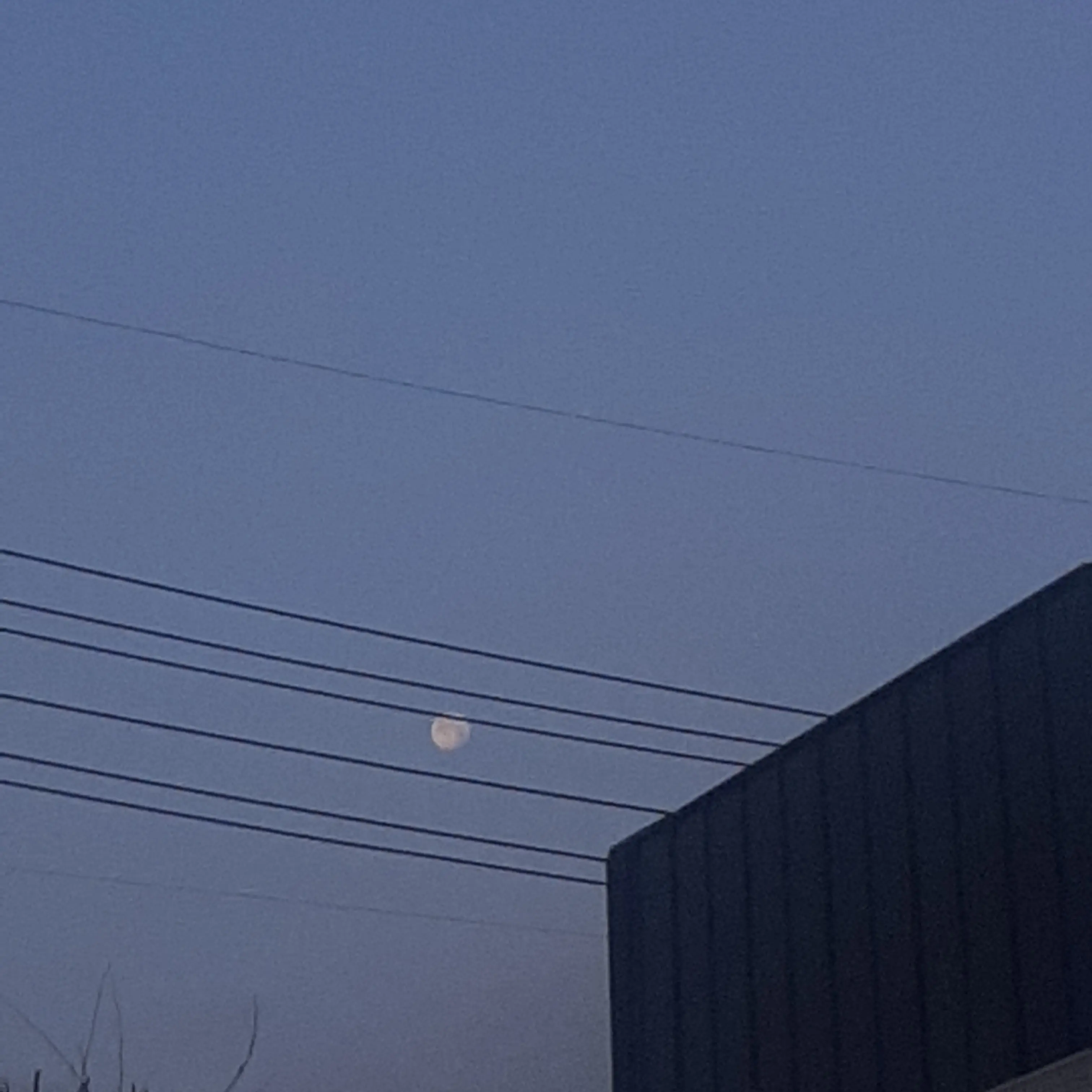 nieve_0000의 나 좀 좋아해줘.
