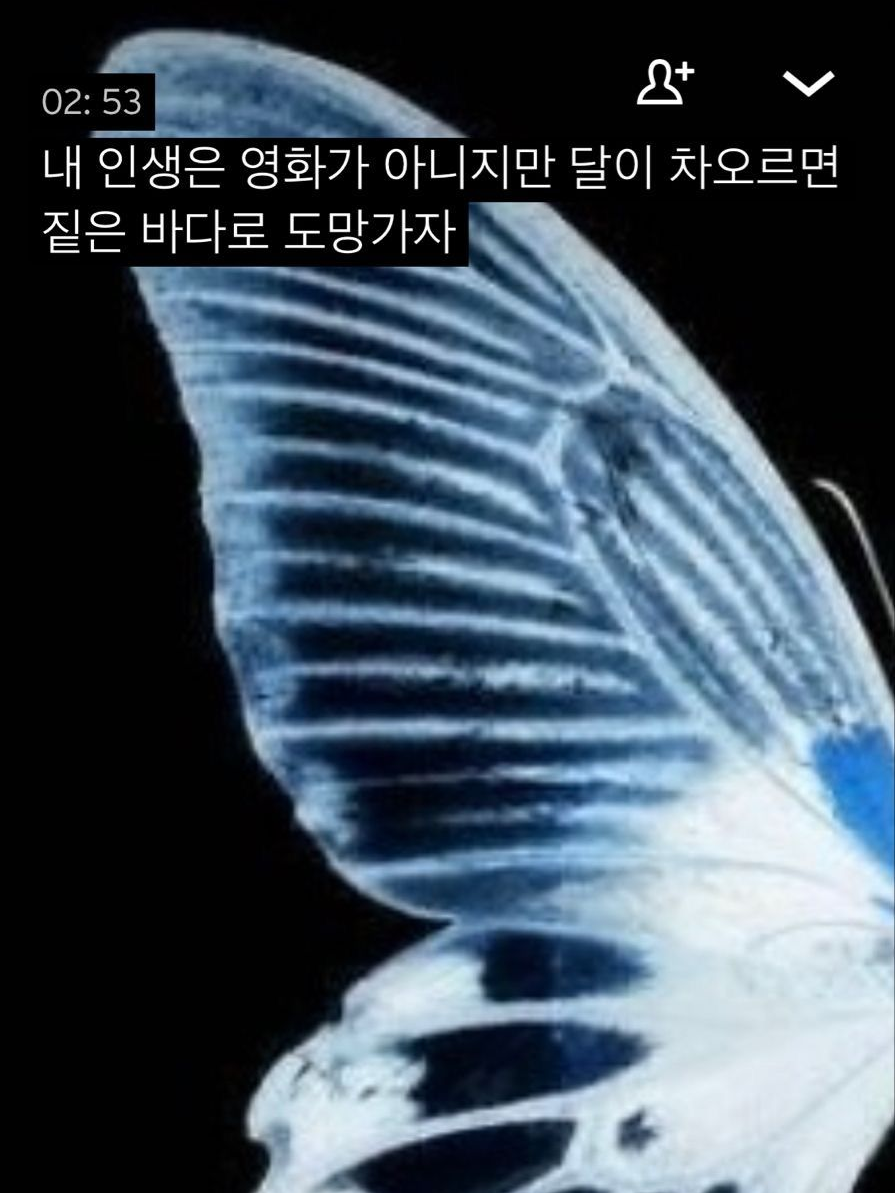 칼 그리고 피 대표 이미지